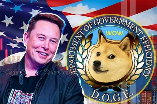 山寨币狂欢：这些潜力币种正引发市场热议
