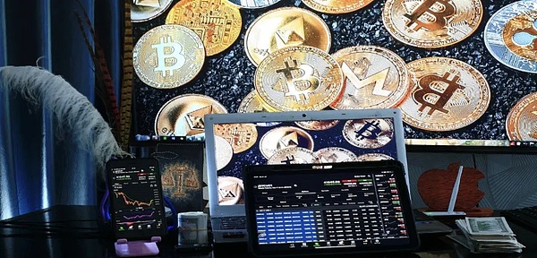 华测检测在进博会的绿色答卷：一份报告背后的气候担当