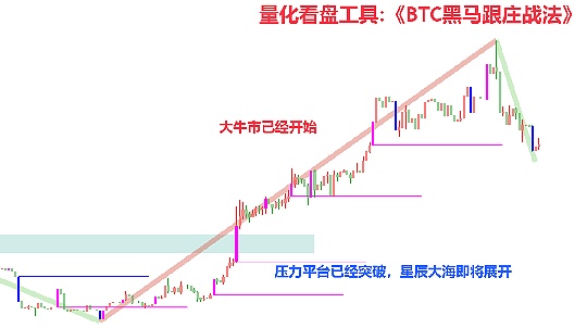 从地下说唱到NFT帝国：胖企鹅CEO的创业自白与质疑风波