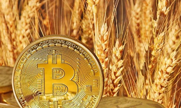 美国FBI重拳出击：这些年栽在执法机关手上的虚拟货币大案